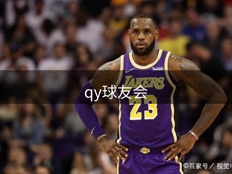公司历程